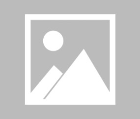 SHIB遭遇大幅下滑超23.2%，投资者恐慌性抛售-Jiuyou Sports