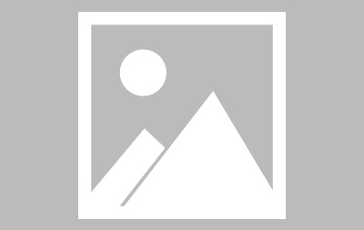 SHIB遭遇大幅下滑超23.2%，投资者恐慌性抛售-Jiuyou Sports