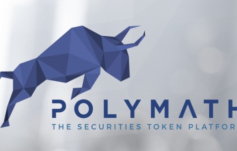 Polkadot发布升级版区块链网络，是否能逆转颓势？-中国九游体育